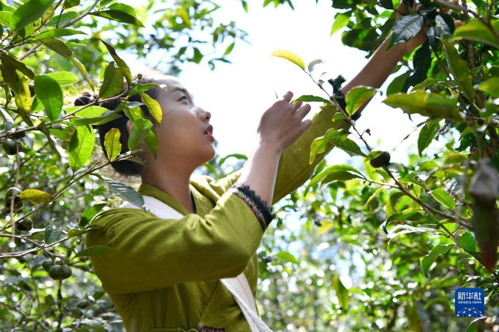 东森游戏平台